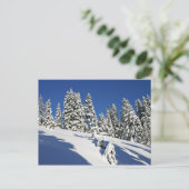 Carte Postale Matin de poudre, prairies alpines... (Debout devant)