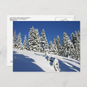 Carte Postale Matin de poudre, prairies alpines... (Devant / Derrière)