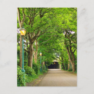 Carte Postale Matin d'été