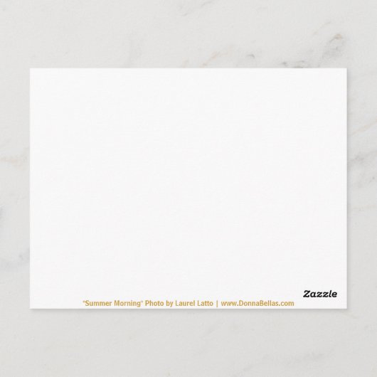 Carte Postale Matin d'été Wedding shower Daisy PostCard (Dos)