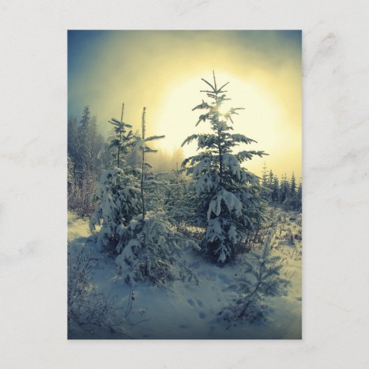 Carte Postale Matin d'hiver (Devant)