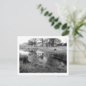 Carte Postale Matin d'hiver : baie de Strandshag, Derwentwater (Debout devant)