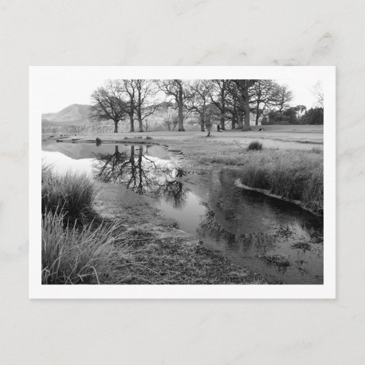 Carte Postale Matin d'hiver : baie de Strandshag, Derwentwater (Devant)