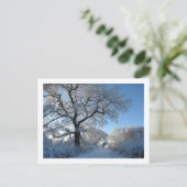 Carte Postale Matin d'hiver : Cheshire (Debout devant)