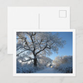 Carte Postale Matin d'hiver : Cheshire (Devant / Derrière)