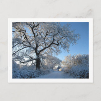 Carte Postale Matin d'hiver : Cheshire