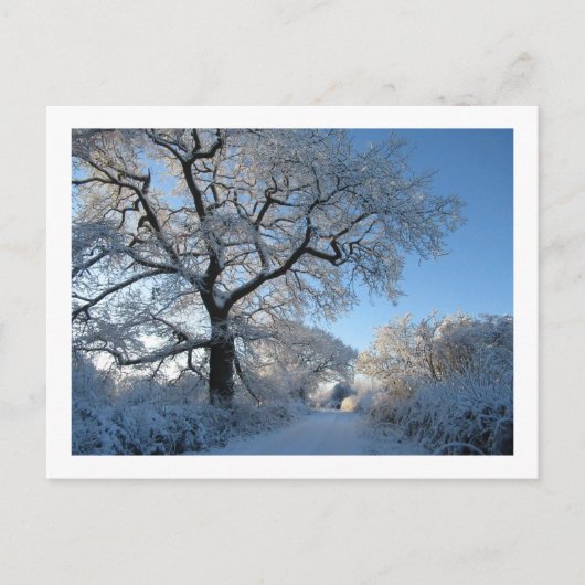 Carte Postale Matin d'hiver : Cheshire (Devant)