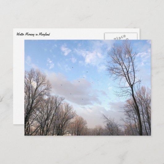 Carte Postale Matin d'hiver I (Devant / Derrière)