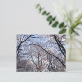 Carte Postale Matin d'hiver II Paysage naturel (Debout devant)