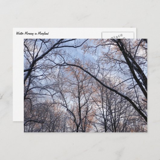 Carte Postale Matin d'hiver II Paysage naturel (Devant / Derrière)