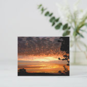 Carte Postale Matin d'or (Debout devant)