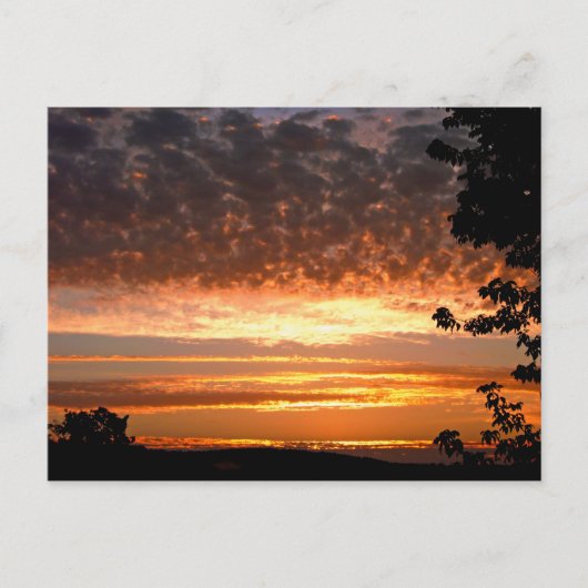 Carte Postale Matin d'or (Devant)