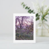 Carte Postale Matin du printemps (Debout devant)
