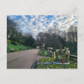 Carte Postale Matin du printemps (Devant)