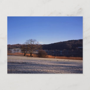 Carte Postale matin gelé Eau Esthwaite Cumbria Angleterre