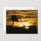 Carte Postale Matin II (Devant / Derrière)