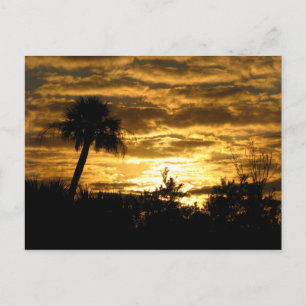 Carte Postale Matin II