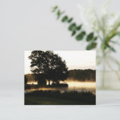Carte Postale Matin Lake Scène pca (Debout devant)