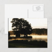 Carte Postale Matin Lake Scène pca (Devant / Derrière)