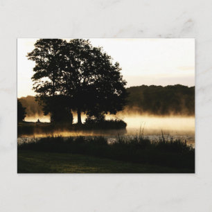 Carte Postale Matin Lake Scène pcm