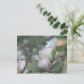 Carte Postale Matin Magnolia (Debout devant)