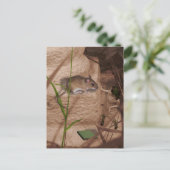 Carte Postale Matin Mlle Mouse.. (Debout devant)