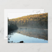 Carte postale Matin Pine de trèfle (Devant / Derrière)