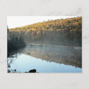 Carte postale Matin Pine de trèfle