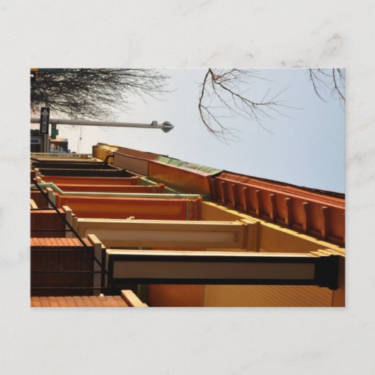 Carte Postale Matin Sun (Devant)