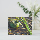 Carte postale Matraque (Debout devant)