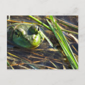 Carte postale Matraque (Devant)