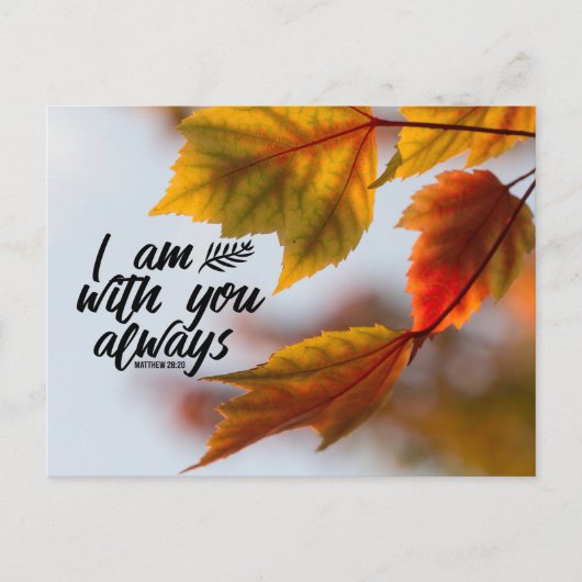 Carte Postale Matthew 28 20 I Cas de Leaves With You Always (Devant)
