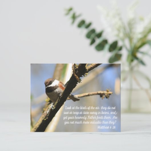 Carte Postale Matthieu 6:26 Écriture des oiseaux (Debout devant)
