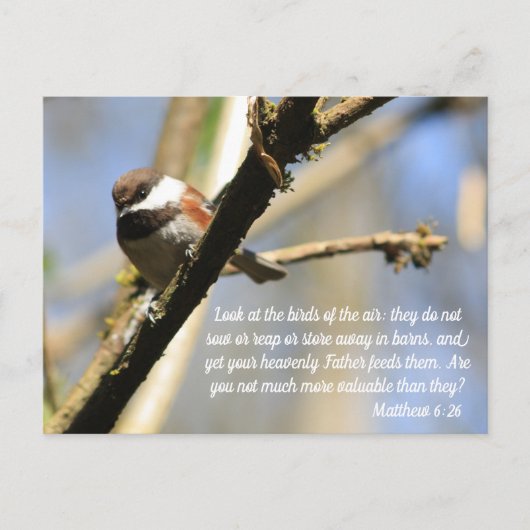 Carte Postale Matthieu 6:26 Écriture des oiseaux (Devant)