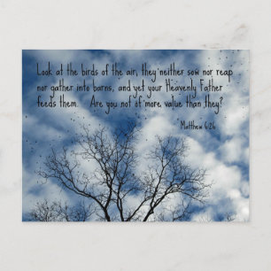 Carte Postale Matthieu 6:26 Regardez les oiseaux de l'air...
