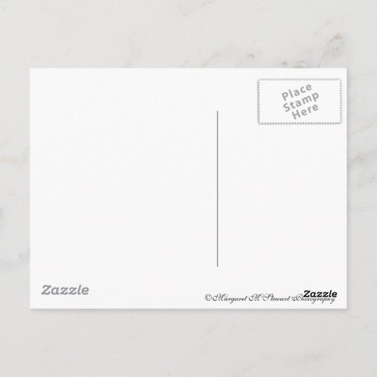 Carte Postale Matthieu 6:34 (Dos)