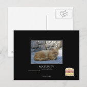 Carte Postale Maturité (Devant / Derrière)