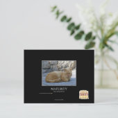 Carte Postale Maturité (Debout devant)