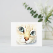 Carte Postale MatYES (Debout devant)