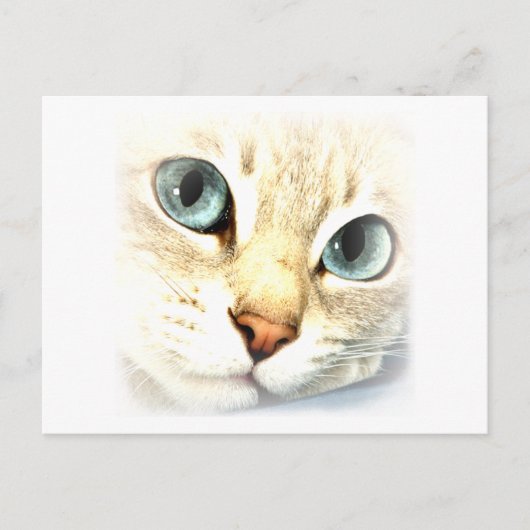 Carte Postale MatYES (Devant)