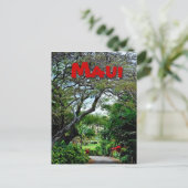 Carte Postale Maui Hawaii (Debout devant)