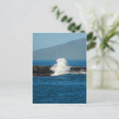 Carte Postale Maui Hawaii Beach 2014 (Debout devant)
