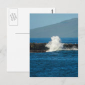Carte Postale Maui Hawaii Beach 2014 (Devant / Derrière)