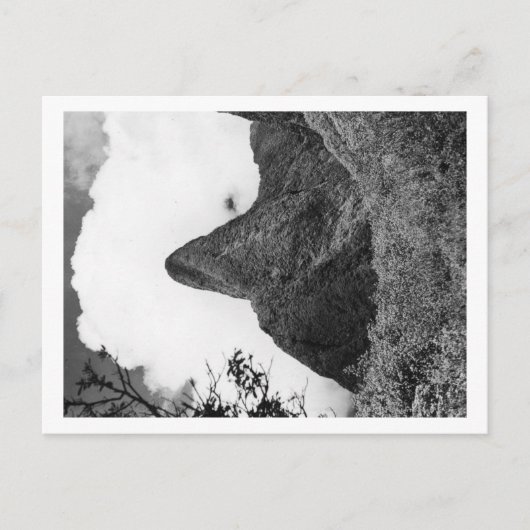 Carte Postale Maui, Hawaii - L'aiguille de la vallée d'Iao (Devant)