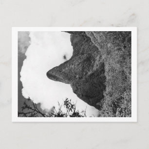 Carte Postale Maui, Hawaii - L'aiguille de la vallée d'Iao