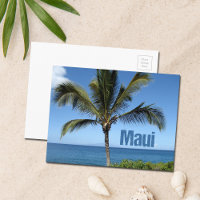 Maui Hawaii Palm Tree Pittoresque