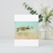 Carte Postale Maui Hi Beach Turtle 2014 (Debout devant)