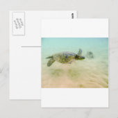 Carte Postale Maui Hi Beach Turtle 2014 (Devant / Derrière)