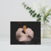 Carte postale Maui Swan (Debout devant)