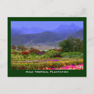 Carte Postale Maui Tropical Plantation West Maui Mountains